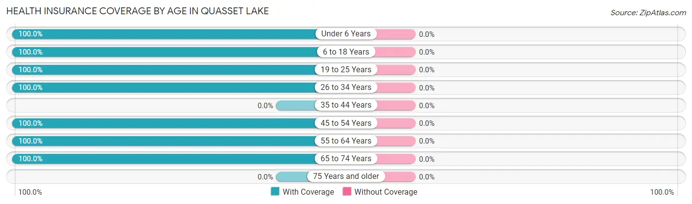Health Insurance Coverage by Age in Quasset Lake