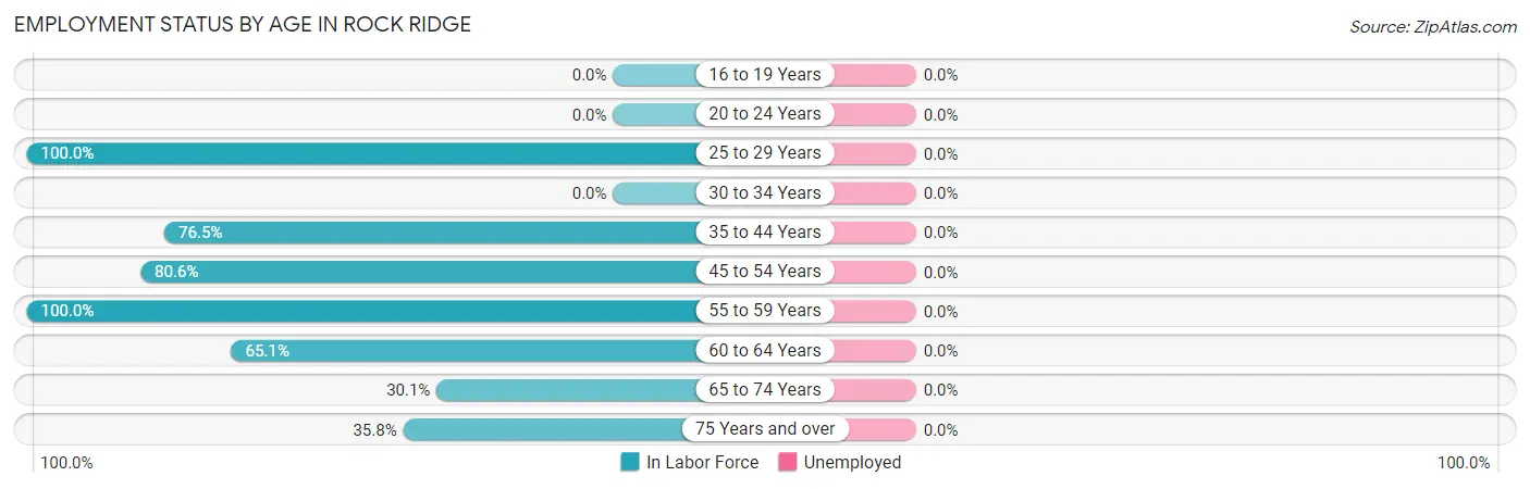 Employment Status by Age in Rock Ridge