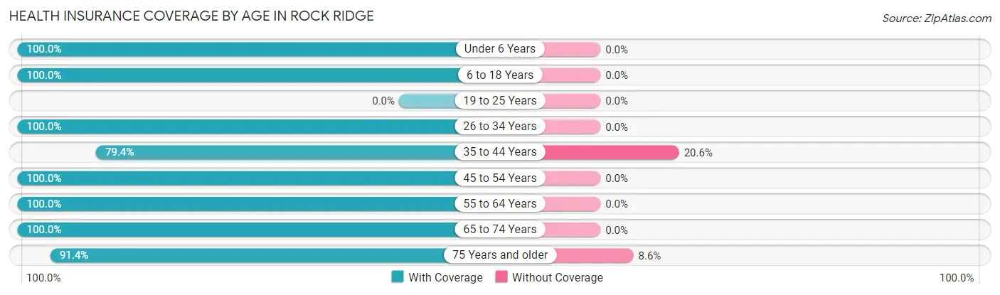 Health Insurance Coverage by Age in Rock Ridge