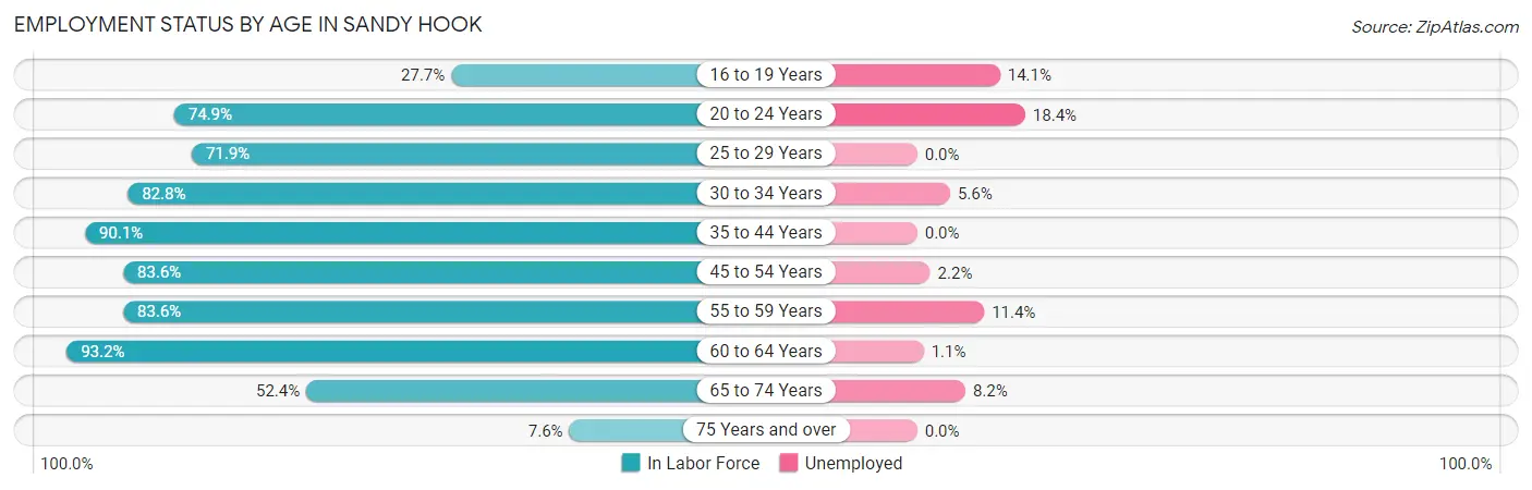 Employment Status by Age in Sandy Hook
