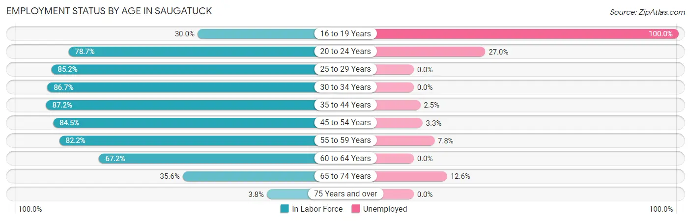 Employment Status by Age in Saugatuck
