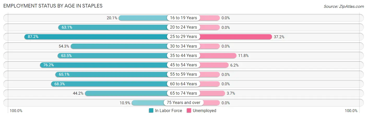 Employment Status by Age in Staples