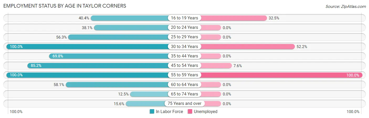 Employment Status by Age in Taylor Corners