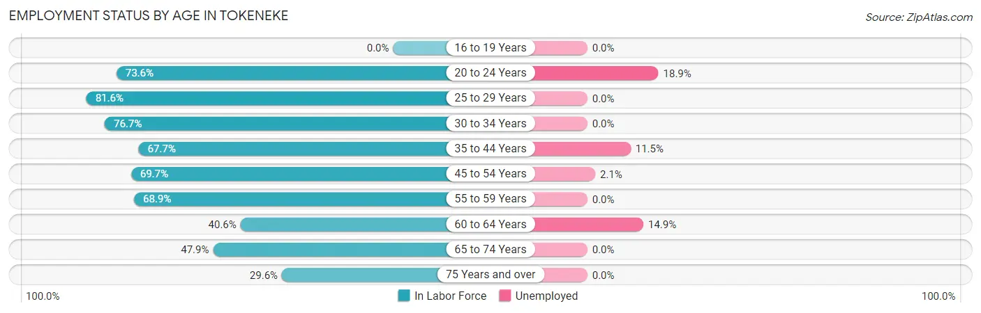 Employment Status by Age in Tokeneke