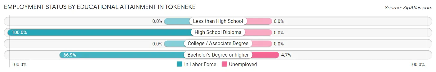 Employment Status by Educational Attainment in Tokeneke