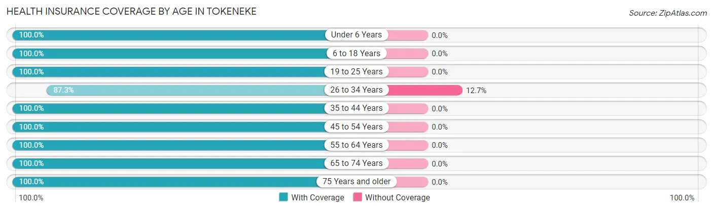 Health Insurance Coverage by Age in Tokeneke