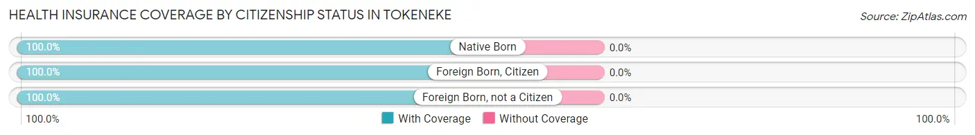 Health Insurance Coverage by Citizenship Status in Tokeneke