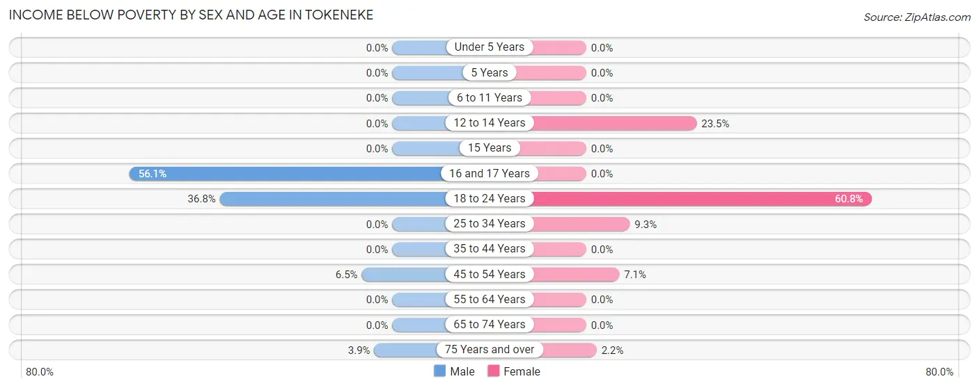 Income Below Poverty by Sex and Age in Tokeneke