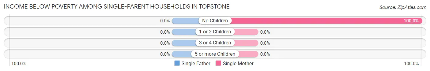 Income Below Poverty Among Single-Parent Households in Topstone