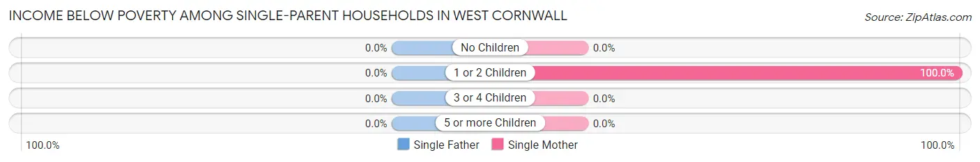 Income Below Poverty Among Single-Parent Households in West Cornwall