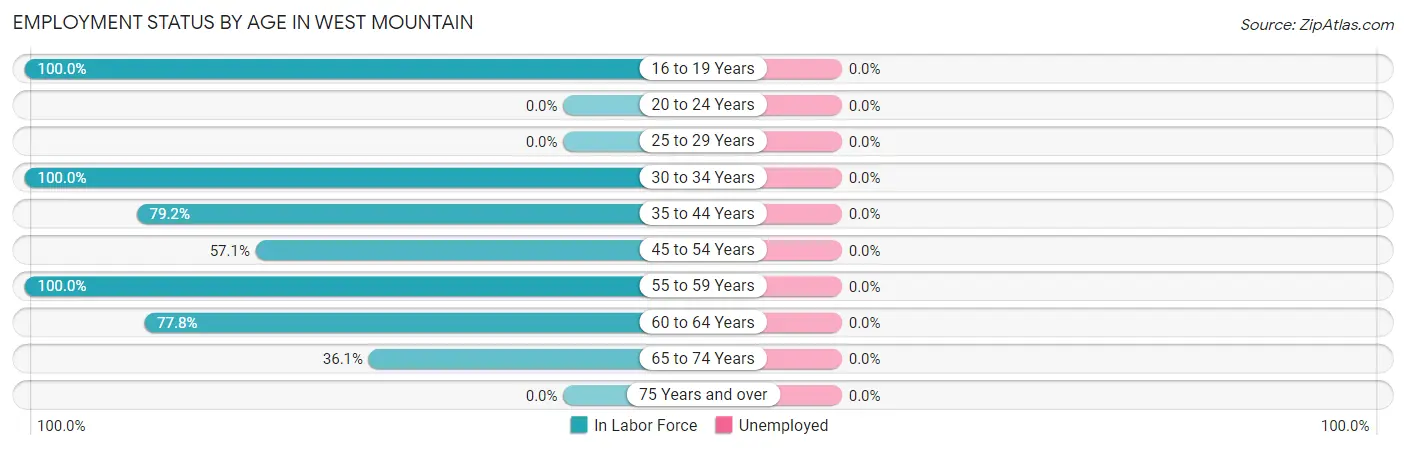 Employment Status by Age in West Mountain