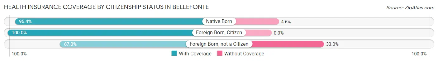 Health Insurance Coverage by Citizenship Status in Bellefonte