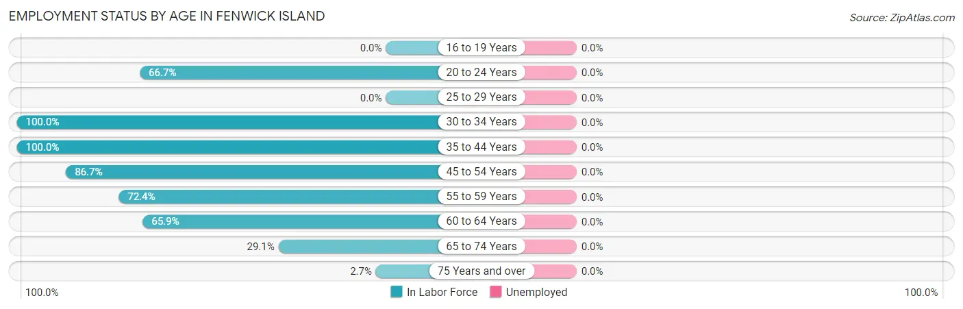 Employment Status by Age in Fenwick Island