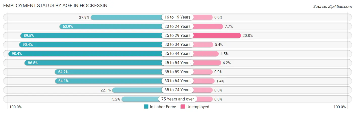 Employment Status by Age in Hockessin