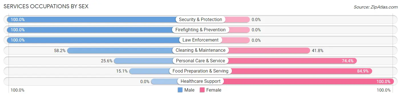 Services Occupations by Sex in New Castle