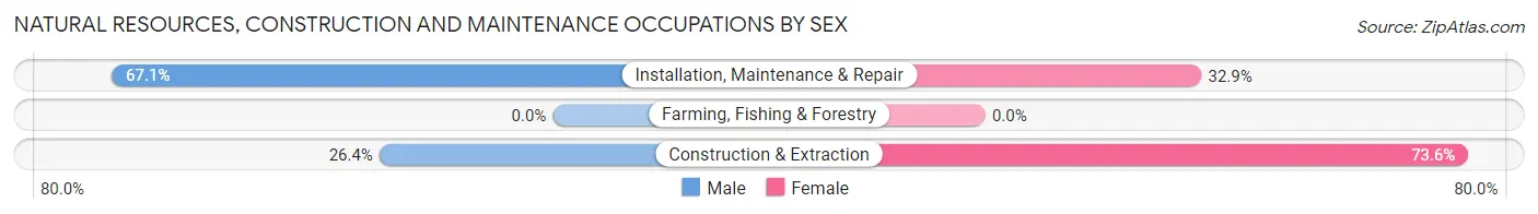 Natural Resources, Construction and Maintenance Occupations by Sex in Pike Creek