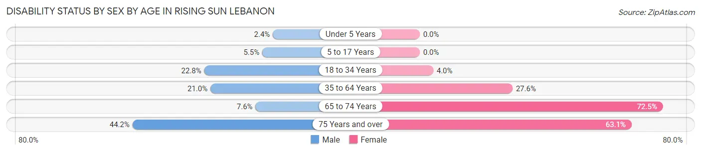 Disability Status by Sex by Age in Rising Sun Lebanon
