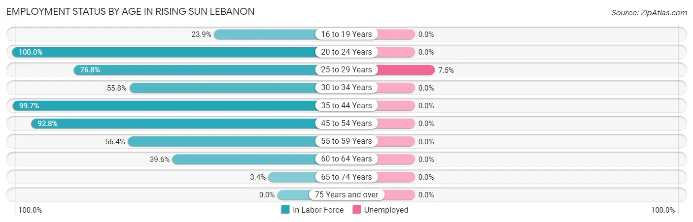 Employment Status by Age in Rising Sun Lebanon