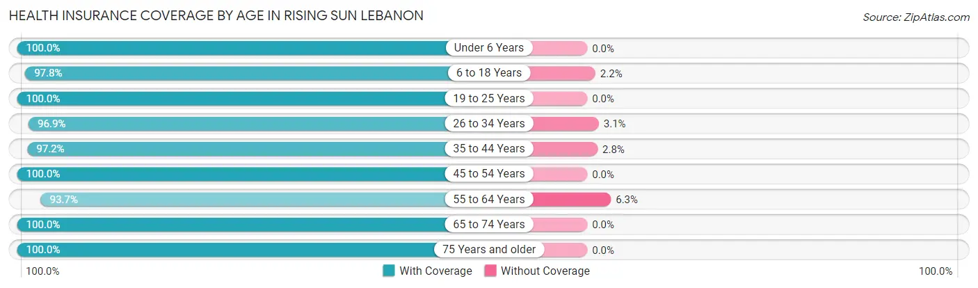 Health Insurance Coverage by Age in Rising Sun Lebanon