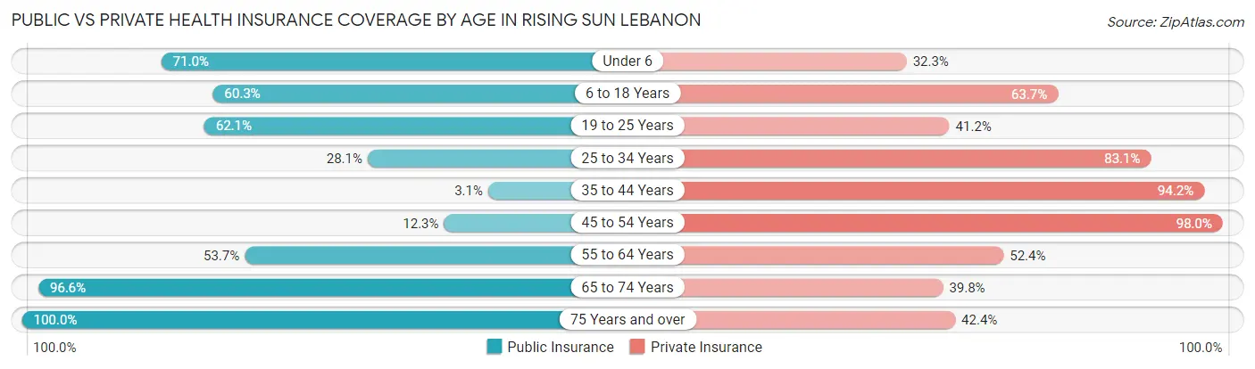 Public vs Private Health Insurance Coverage by Age in Rising Sun Lebanon