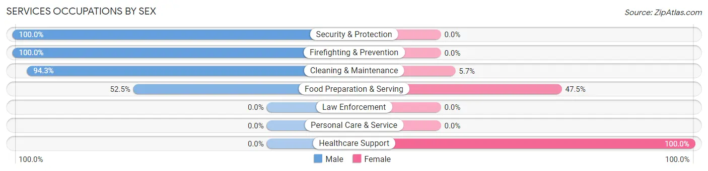 Services Occupations by Sex in Rising Sun Lebanon