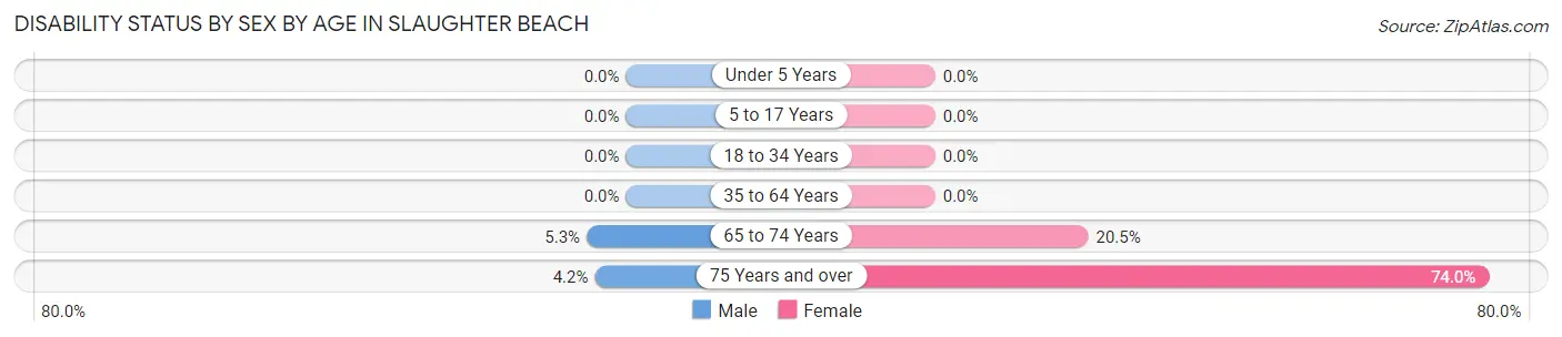 Disability Status by Sex by Age in Slaughter Beach