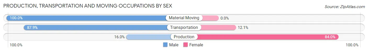 Production, Transportation and Moving Occupations by Sex in Bagdad