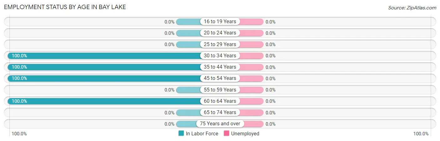 Employment Status by Age in Bay Lake