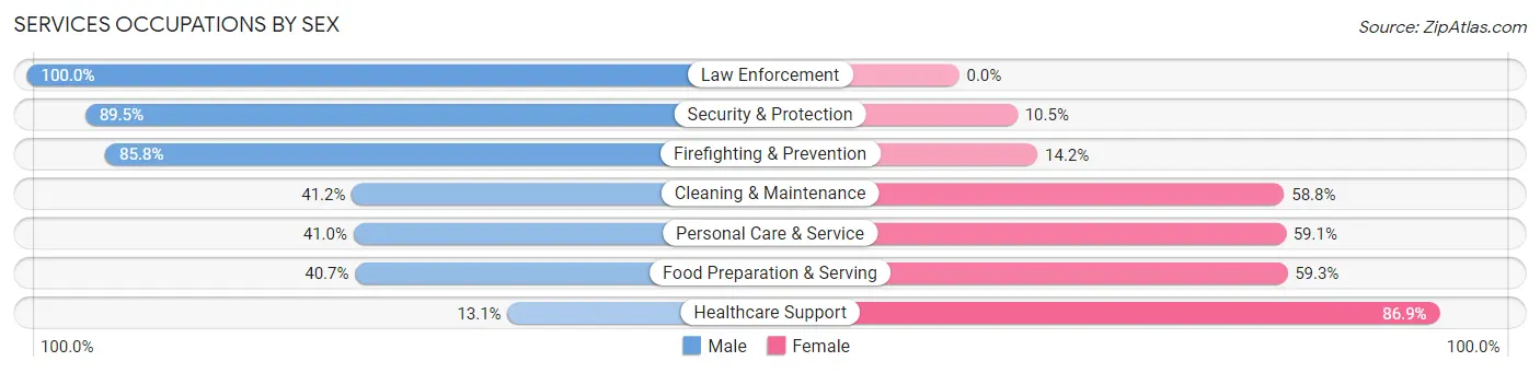 Services Occupations by Sex in Bayonet Point