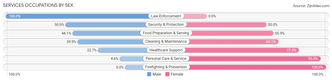 Services Occupations by Sex in Beacon Square