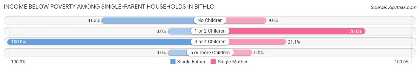 Income Below Poverty Among Single-Parent Households in Bithlo
