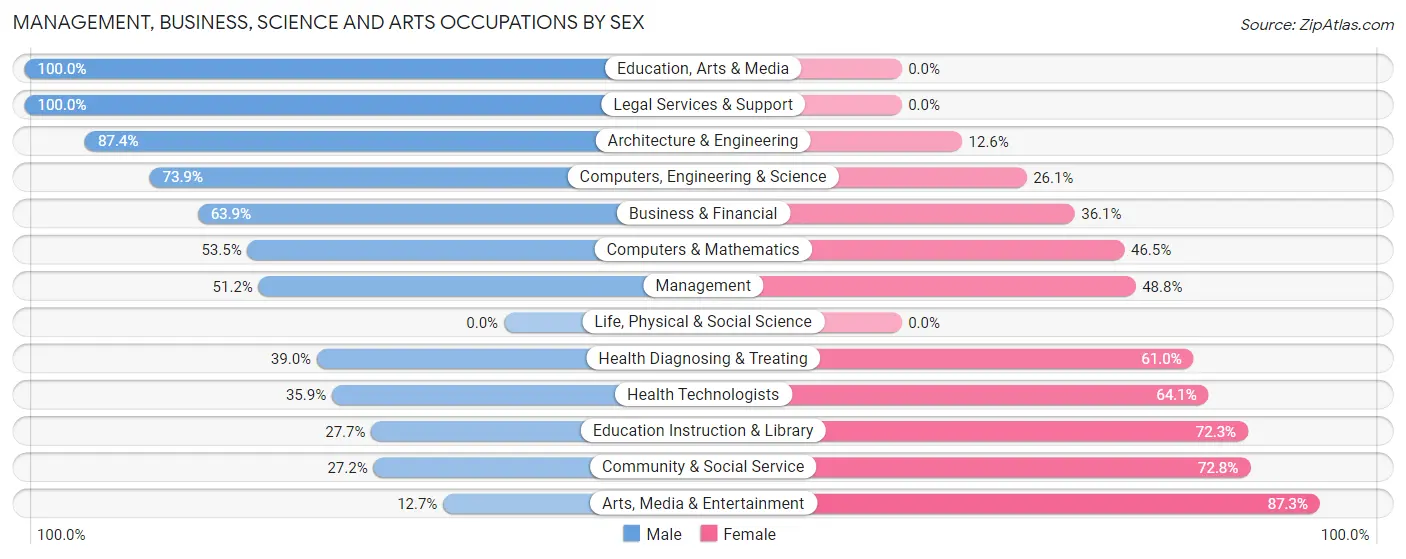 Management, Business, Science and Arts Occupations by Sex in Bithlo
