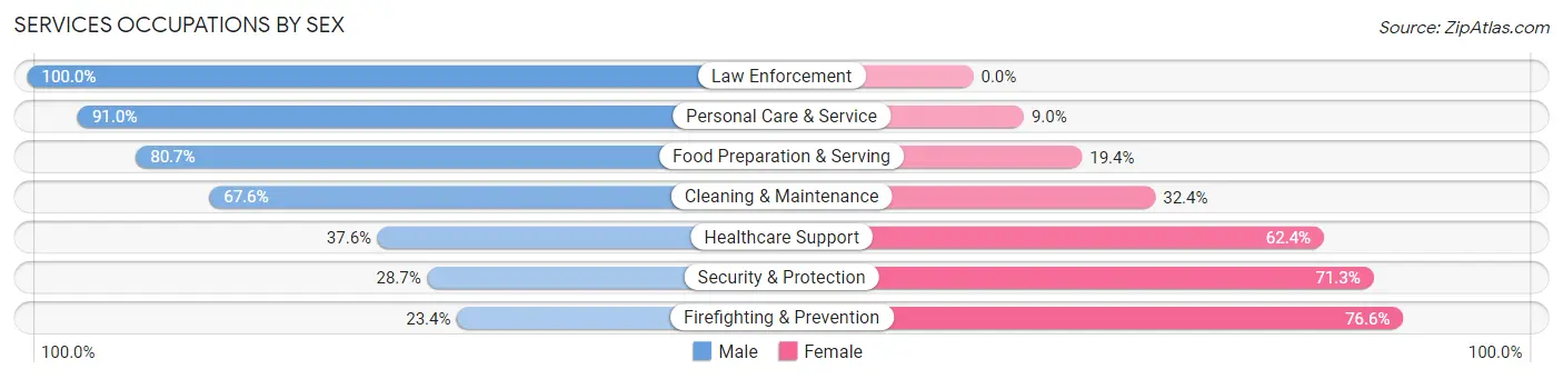Services Occupations by Sex in Bithlo