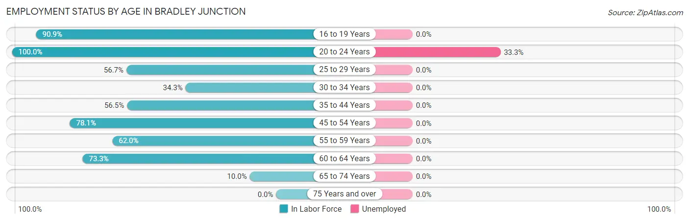 Employment Status by Age in Bradley Junction