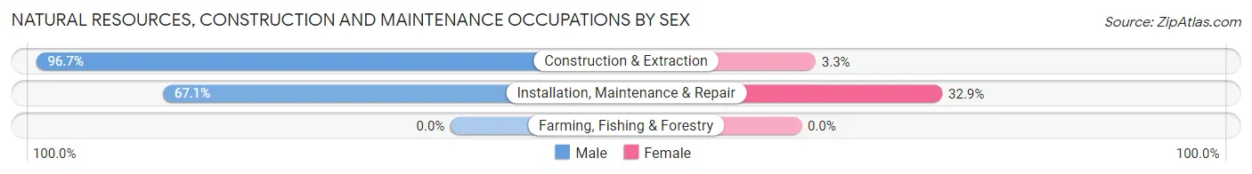 Natural Resources, Construction and Maintenance Occupations by Sex in Broadview Park