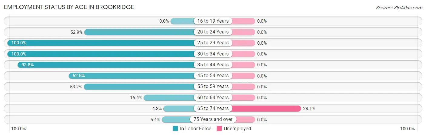 Employment Status by Age in Brookridge