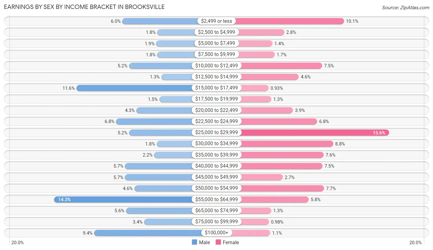 Earnings by Sex by Income Bracket in Brooksville