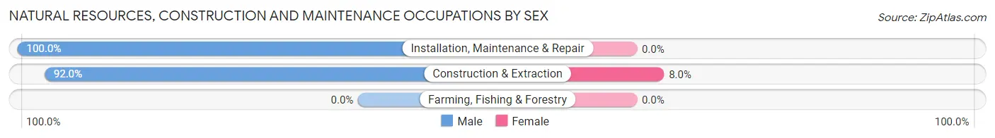 Natural Resources, Construction and Maintenance Occupations by Sex in Brooksville