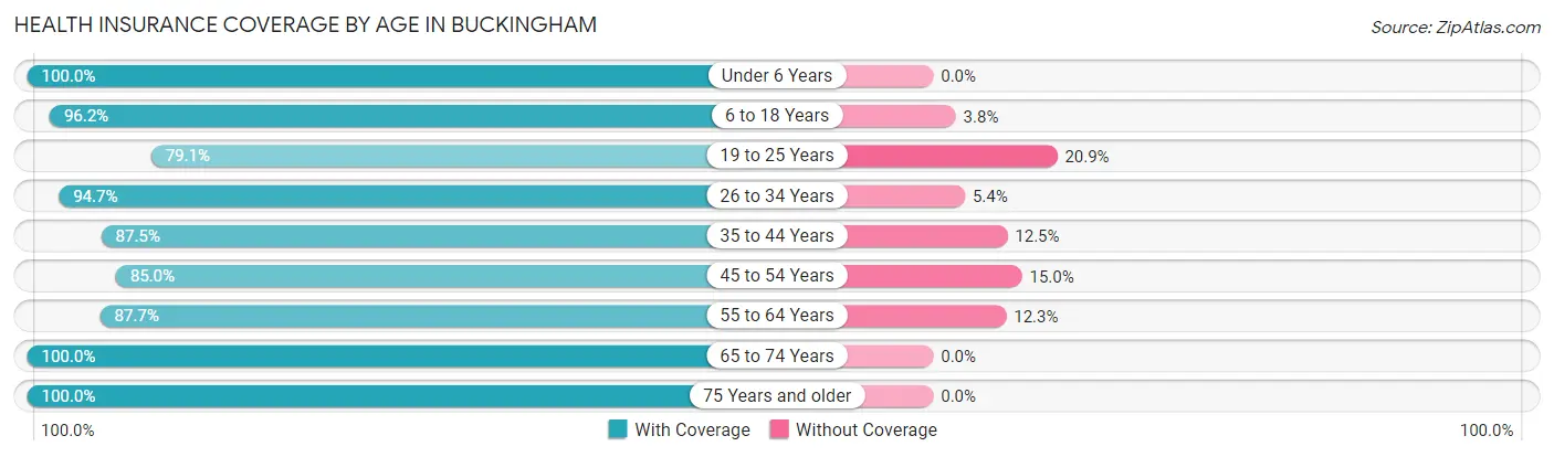 Health Insurance Coverage by Age in Buckingham