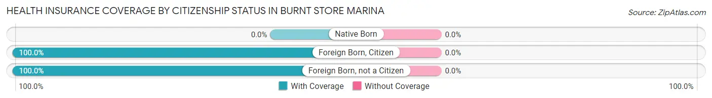 Health Insurance Coverage by Citizenship Status in Burnt Store Marina