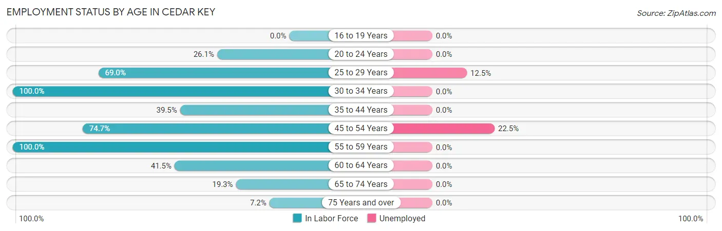 Employment Status by Age in Cedar Key