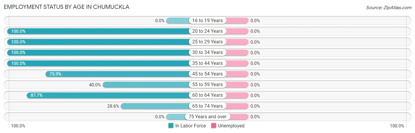 Employment Status by Age in Chumuckla