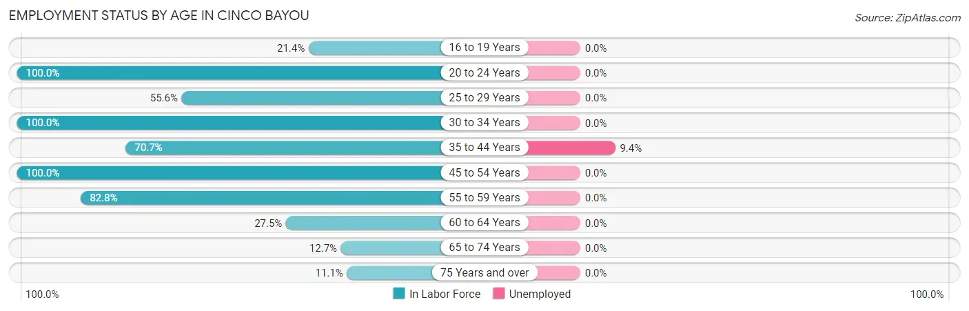 Employment Status by Age in Cinco Bayou