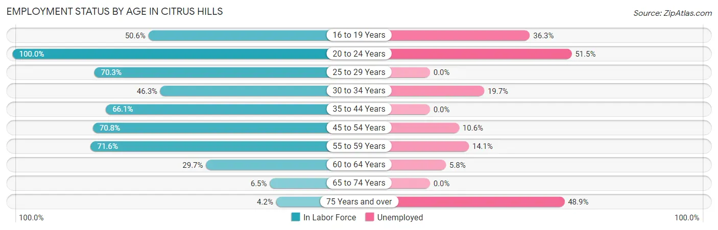 Employment Status by Age in Citrus Hills