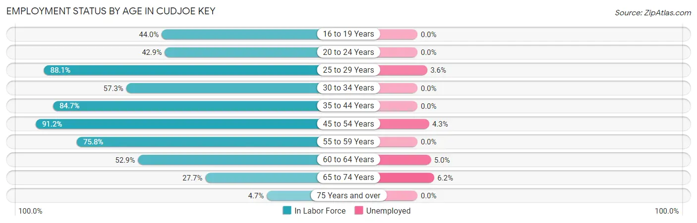Employment Status by Age in Cudjoe Key