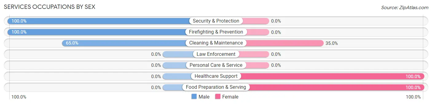 Services Occupations by Sex in Dade City North