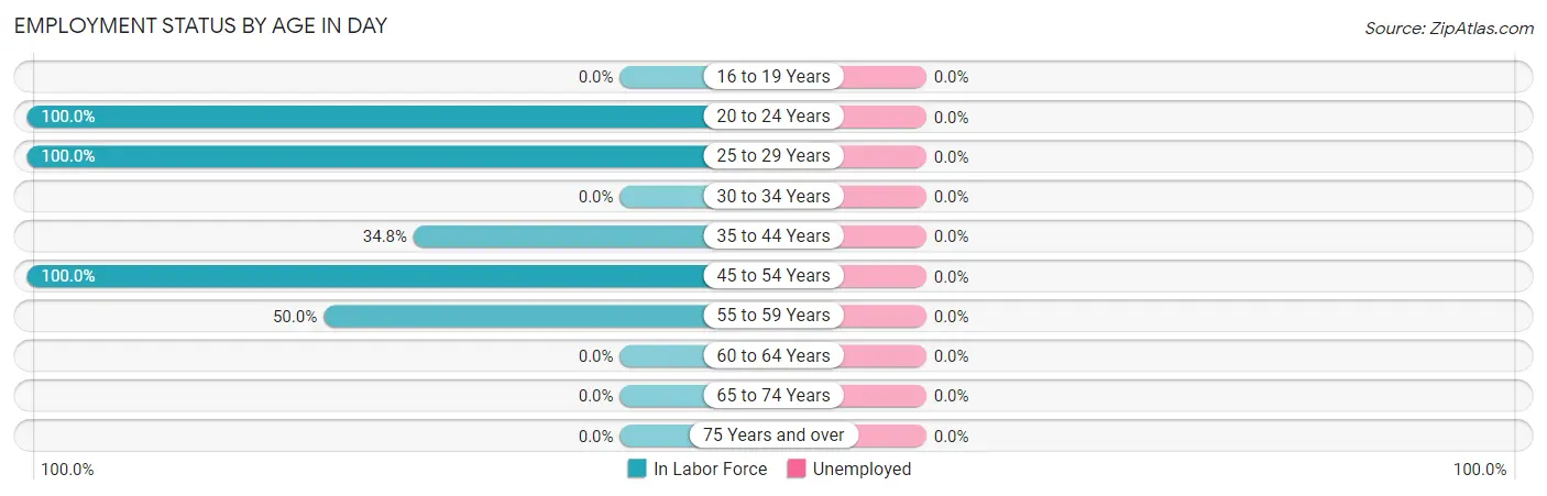 Employment Status by Age in Day