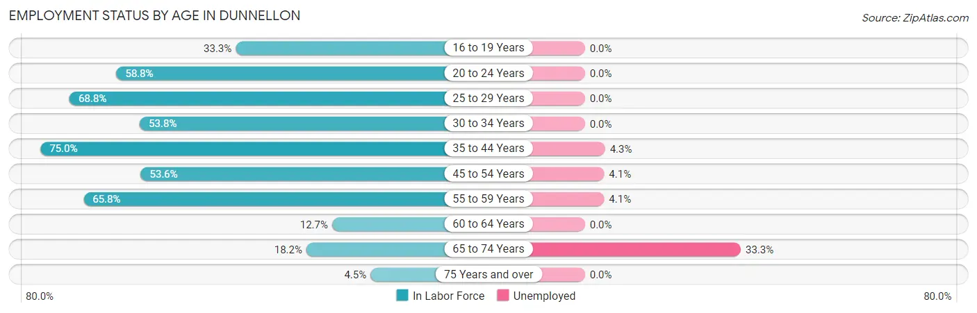 Employment Status by Age in Dunnellon