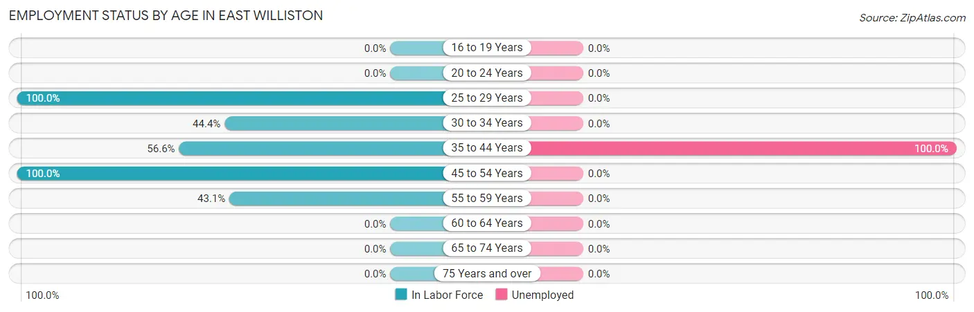 Employment Status by Age in East Williston