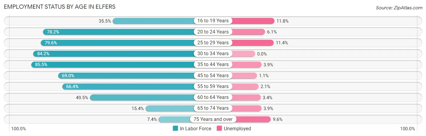 Employment Status by Age in Elfers